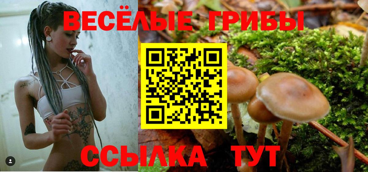 Сургут  Галлюциногенные грибы Psilocybine cubensis  Псилоцибиновые грибы MAGIC MUSHROOMS  Вход с VPN 